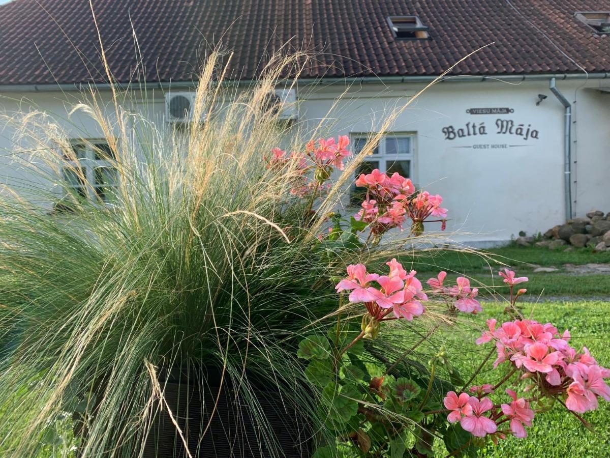 Balta Maja Hotel Pilsrundāle Eksteriør billede